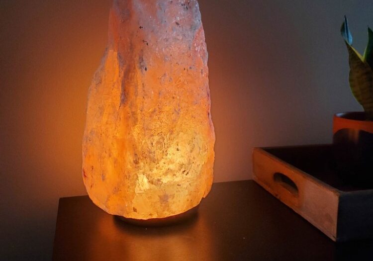 333139567_894062735251462_976614369678612247_n 333139567_894062735251462_976614369678612247_n